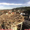 08_45-nest.jpg