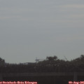 08_50-mast.jpg