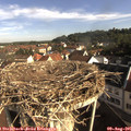 08_50-nest.jpg