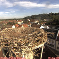 08_55-nest.jpg