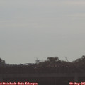 09_00-mast.jpg