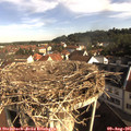 09_00-nest.jpg
