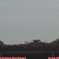 09_05-mast.jpg