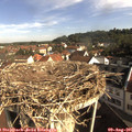 09_05-nest.jpg