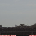 09_10-mast.jpg