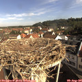 09_10-nest.jpg