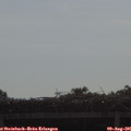 09_15-mast.jpg