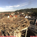 09_15-nest.jpg