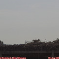 09_20-mast.jpg
