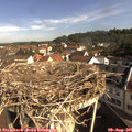 09_20-nest.jpg