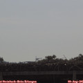09_25-mast.jpg