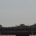 09_30-mast.jpg