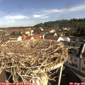 09_30-nest.jpg