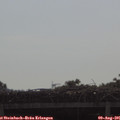 09_35-mast.jpg