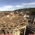 09_35-nest.jpg