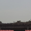 09_40-mast.jpg