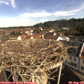 09_45-nest.jpg