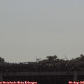 09_50-mast.jpg