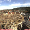 09_50-nest.jpg