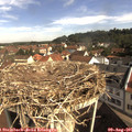 09_55-nest.jpg