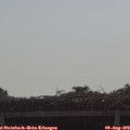 10_00-mast.jpg
