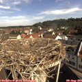 10_00-nest.jpg
