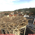 10_05-nest.jpg