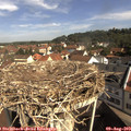 10_10-nest.jpg
