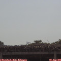 10_15-mast.jpg