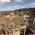 10_15-nest.jpg