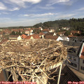 10_20-nest.jpg