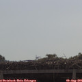 10_25-mast.jpg