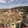 10_25-nest.jpg
