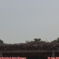 10_30-mast.jpg