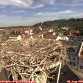 10_30-nest.jpg
