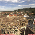 10_35-nest.jpg