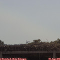 10_40-mast.jpg