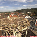 10_40-nest.jpg