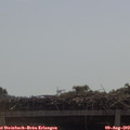 10_45-mast.jpg