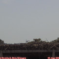 10_50-mast.jpg
