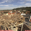 10_50-nest.jpg