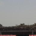 11_00-mast.jpg
