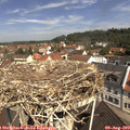 11_00-nest.jpg