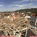 11_10-nest.jpg