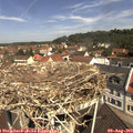11_15-nest.jpg