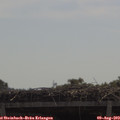 11_25-mast.jpg