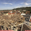 11_25-nest.jpg
