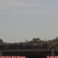 11_35-mast.jpg