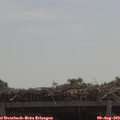 11_40-mast.jpg