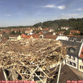 11_40-nest.jpg